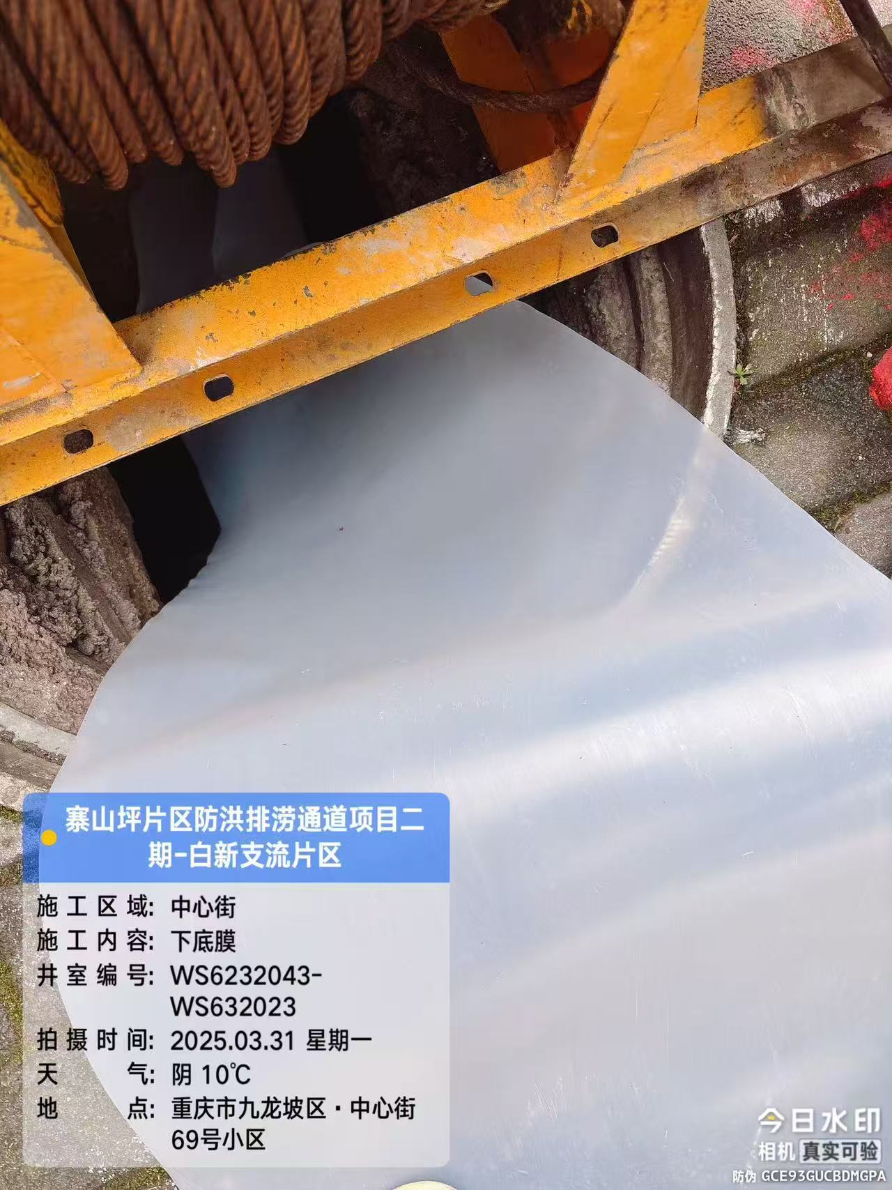 输入图片说明