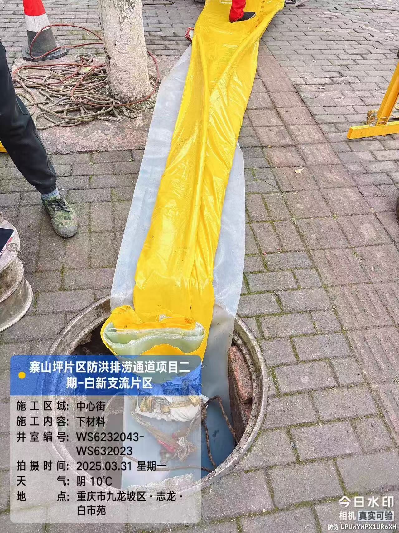 输入图片说明