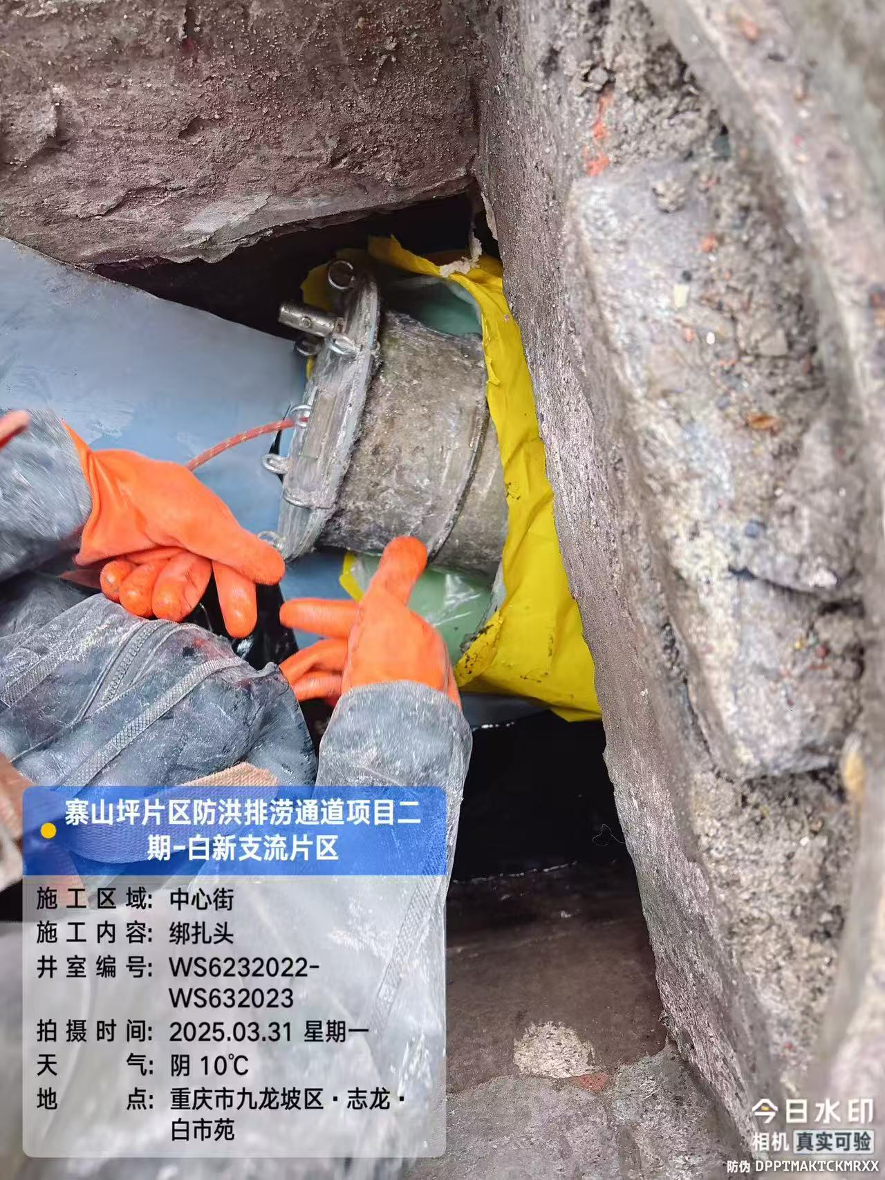 输入图片说明